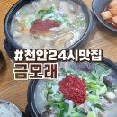 종합운동장 사거리 신라해장국앞 | 천안24시맛집 금모래국밥 솔직후기 :: 천안해장국 맛집