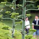 세기통신 이미지