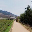 자운학교 이미지