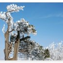 2019년1월3일 1065회 정기산행안내(태백산) 이미지