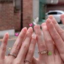 끌레헤어 - 동구 샛골로 201 | 밴드를 찾아서,,,02💍✨(코이누르에서 만난 우리의 특별한 웨딩밴드 / 방문 상담 및 계약+중간 가봉 후기)