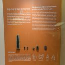 완주 갈동유적 | 전주박물관 역사관 2(2025)