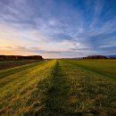 Walk the path of uncompromising discipleship (타협하지 않는 제자의 길을 걸으라) 이미지