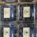 호남청과 이미지