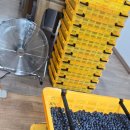 행복드림농장 이미지