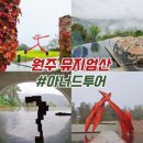 보쉬 카 서비스 원주점 | 원주 뮤지엄산 소금산 그랜드밸리 당일치기 여행 아너드투어 아너드여행사