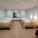 수목토일라이트 이미지