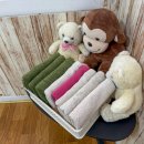 두식이펜션 이미지