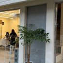 동명헤어라인 이미지