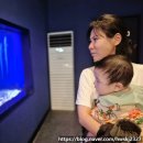 수산과학관(실외) | [여수 당일치기 여행] 8개월 아기랑 전남해양수산과학관 나들이 :)