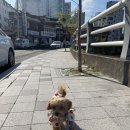 니니앤제리 이미지