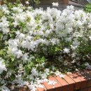 라이또 PC방 의왕본점 이미지