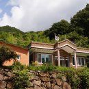 당치경로당 티스토리