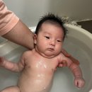 금줄베이비시터코리아 이미지
