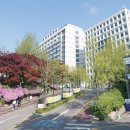 명지대학교 이미지