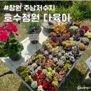 창원 주남저수지 다육이 호수정원분재다육야생화체험 방문 후기