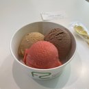 [일산 맛집] 쫀득달달 수제 젤라또 맛집 - 에프에스젤라또🍨