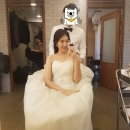 도리스스튜디오 | [도리스 웨딩] 루나스튜디오 웨딩촬영 후기 :-)