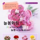 늘봄꽃집 이미지