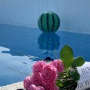 메르벨르B 이미지