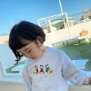 형제오리 이미지