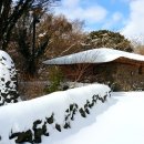 교래자연휴양림야영장 이미지