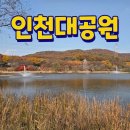 GS25 인천광장 | 인천대공원 단풍 구경 가을 주말 나들이 갈대밭 피크닉 주차장