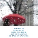 봄비 이미지