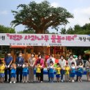 잭과 사과나무 이미지