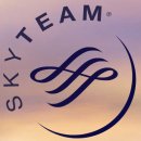 항공사동맹/스카이팀 (Sky Team) 회원 항공사 현황 이미지