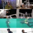 송하우스 이미지