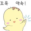 오토글라스 네이버블로그