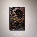 나비-일레라