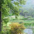 산약초이야기 - 남양주시 | 산약초이야기