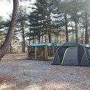 (주)힐링&자연 이미지