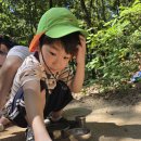 어울림반 9월 2주 놀이 이야기(신방학초 뒷숲, 복지관 뒷 숲(잠자리채집), 샘말놀이터) 이미지