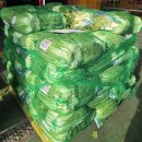 농수산물도매시장(원협공판장) | 천안농수산물도매시장 괴산 절임배추 구매 후기 — 김장 재료(천수무, 홍갓까지)는 역시 ‘99번 깨비...