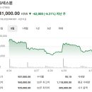 주식회사 다올약품 | 코스피 주가현황 주가시세 주가분석 요약 (2025년 4월 30일)-(5)