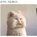 광명반찬 이미지