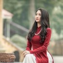미스베트남 - 진주시 평거로9번길 12 | 미스베트남