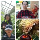 까치내마을 이미지