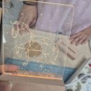 전주양지초등학교 이미지