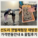 서천 유료갯벌체험장 / 아이랑 선도리 갯벌체험장 재방문 후기 (가격변동 &amp; 새로운 꿀팁 공유)