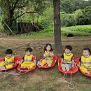 세인어린이집 이미지