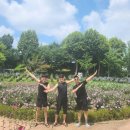 수양호원 이미지