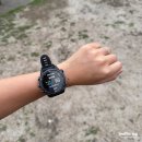 시드니스포츠 | 시드니 러닝코스, 본다이비치->브론테비치 러닝 클럽 참여 후기