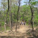 호수공원 삼거리(호수공원) 이미지