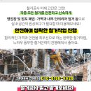 송파인내과의원 이미지