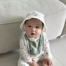본베이비 | 맘시터 앱vs전문 업체, 7개월 넘게 써본 베이비시터 후기(매칭꿀팁, 장단점 등)