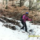 암봉농장 이미지